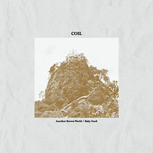 🎁 COIL:  Another Brown world / Baby Food Vinyl (30% off)