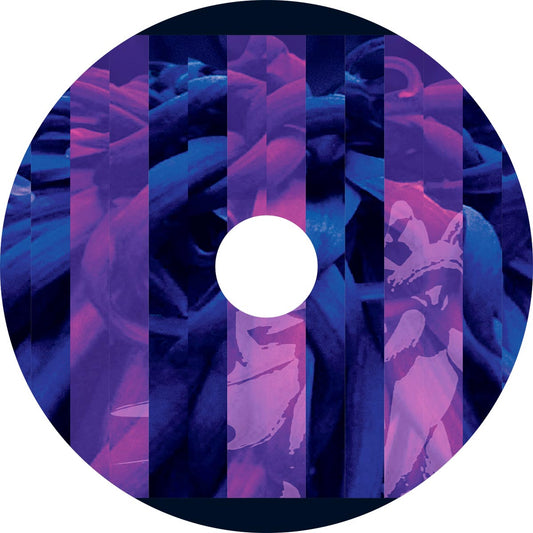 🎁 Electric Sewer Age- Contemplating Nothingness  CD ( ESA#3) (30% off)