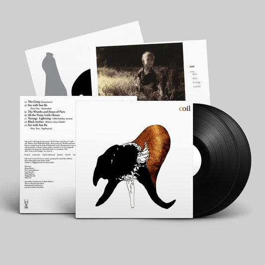 COIL: Black Antlers