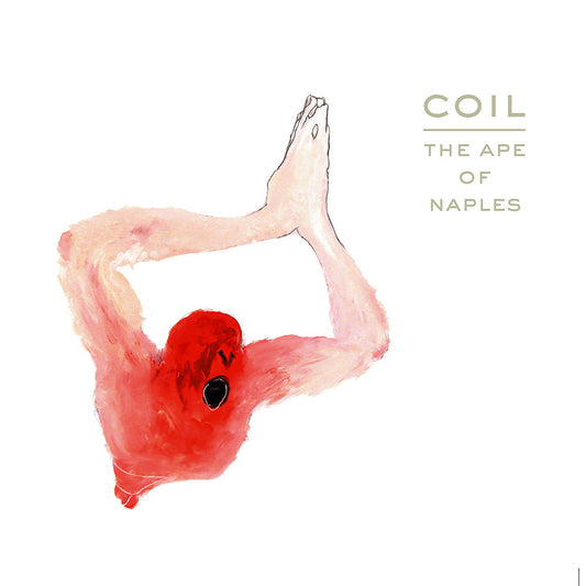 🎁 Ape of Naples double CDs -two variations (30% off)