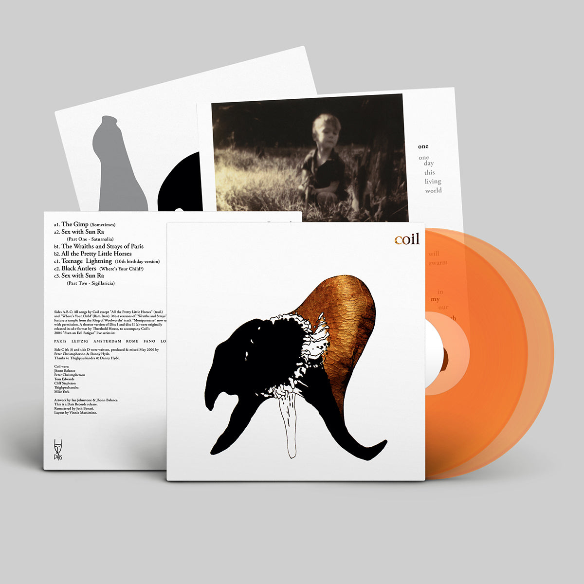 COIL: Black Antlers